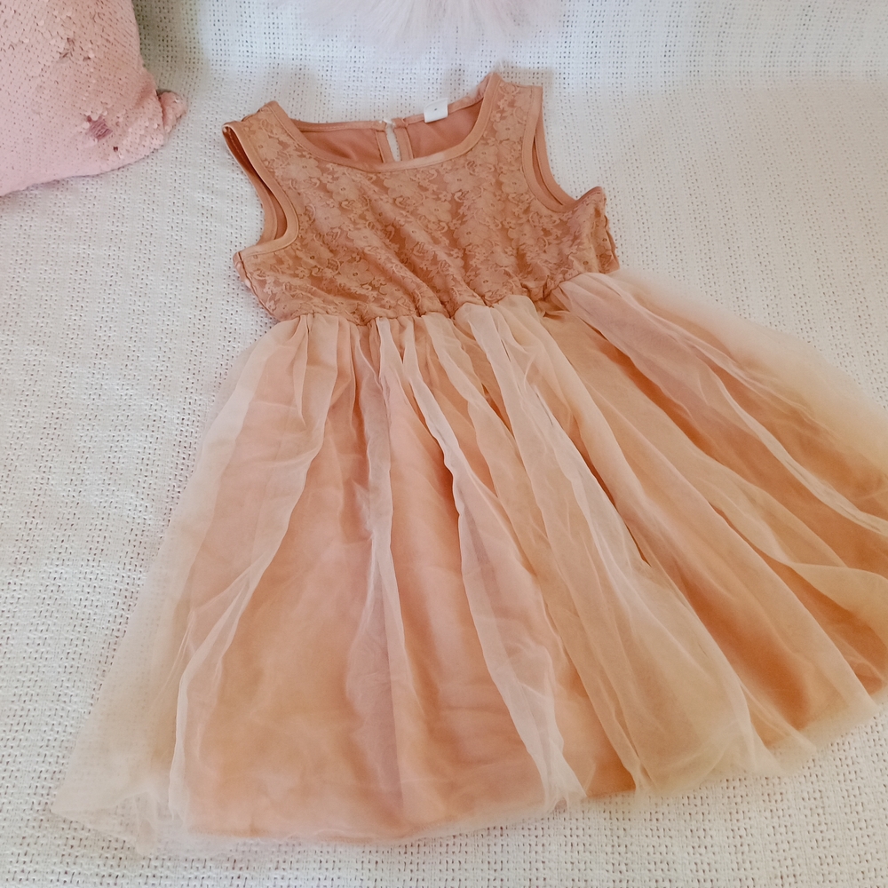 SHEIN Peach Lace and Tulle Kids Dress